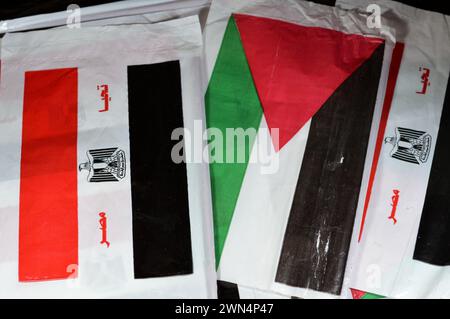 La bandiera egiziana e palestinese, traduzione dell'arabo (lunga vita all'Egitto), bandiera della Palestina e dell'Egitto, l'amicizia tra i paesi arabi con Foto Stock