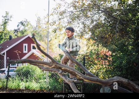 Ragazzo spensierato che sale sul ramo d'albero del parco Foto Stock