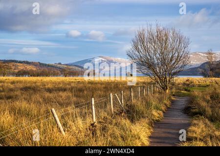 Lungo la passerella verso la parte occidentale di Loch Tay vicino a Killin, Trossachs, Stirling, Scozia Foto Stock