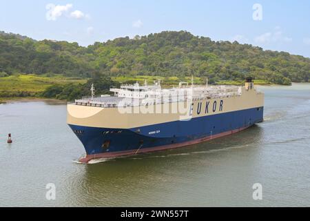 Canale di Panama, Panama - 23 gennaio 2024: Trasportatore di auto Morning Calm operato da Eukor che naviga sul Canale di Panama. Foto Stock