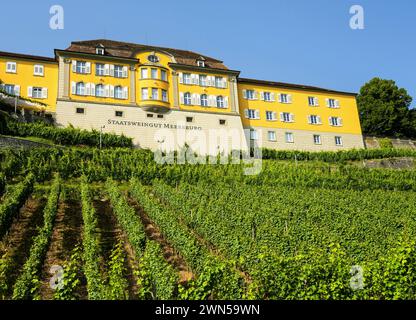 Edificio statale di un'azienda vinicola a Meersburg, Germania Foto Stock