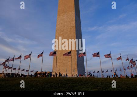 Il monumento a Washington è circondato da bandiere americane nel National Mall. Washington DC. STATI UNITI Foto Stock