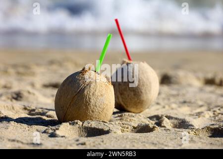 Cocktail di cocco con cannucce su una spiaggia di mare Foto Stock