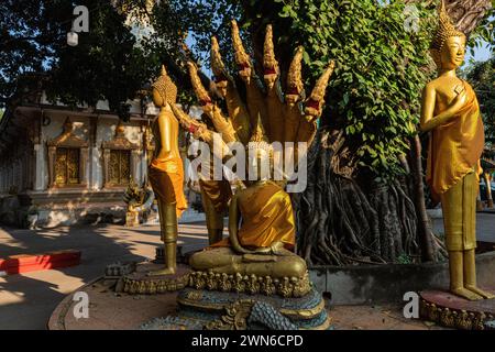 VAT Haysoke, scritto anche Wat Haysok - la sua storia risale al XIX secolo quando fu costruita durante il regno di re Zakarine. Il tempio è r Foto Stock