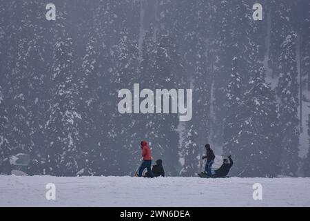 Gulmarg, Kashmir, India. 29 febbraio 2024. I turisti indiani possono fare un giro in slitta presso la stazione sciistica di Gulmarg, a circa 55 km da Srinagar, la capitale estiva di Jammu e Kashmir. (Immagine di credito: © Saqib Majeed/SOPA Images via ZUMA Press Wire) SOLO PER USO EDITORIALE! Non per USO commerciale! Foto Stock