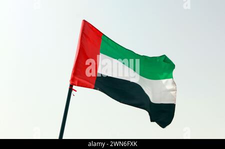 Bandiera degli Emirati Arabi Uniti Foto Stock