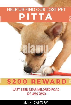 Composizione di help Us find our lost PET pitta text over dog on dog on white background Foto Stock