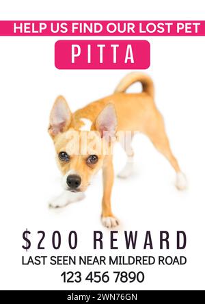 Composizione di help Us find our lost PET pitta text over dog on dog on white background Foto Stock