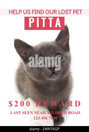 Composizione di help Us find our lost PET pitta text over Cat on white background Foto Stock