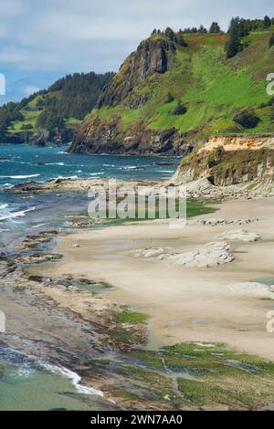 Giardini marini, diavoli conca del Parco Statale di lontra Crest, Oregon Foto Stock