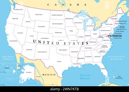 Stati Uniti d'America, mappa politica. Cinquanta singoli stati con i propri territori e confini geografici, Uniti in un'unione. Foto Stock