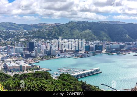 Vista della città e del porto dal punto panoramico del monte Victoria, Wellington, nuova Zelanda Foto Stock