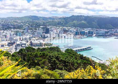 Vista della città e del porto dal punto panoramico del monte Victoria, Wellington, nuova Zelanda Foto Stock