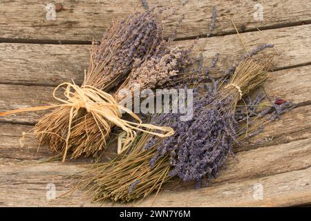 La lavanda e lavanda di montagna, Washington County, Oregon Foto Stock