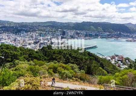 Vista della città e del porto dal punto panoramico del monte Victoria, Wellington, nuova Zelanda Foto Stock