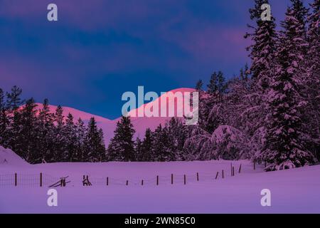 La prima luce del giorno proietta una tenue tonalità rosa su una montagna innevata in Svezia, che si erge a picco su un vibrante cielo all'alba. Una recinzione in legno rivestita di wi Foto Stock