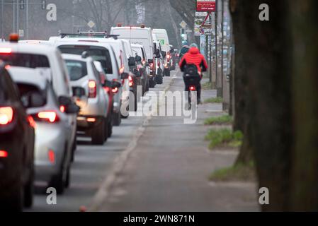 Rostock, Germania. 1 marzo 2024. I ciclisti viaggiano lungo la Bundesstrasse 105 nel centro della città di Rostock in mezzo al traffico dell'ora di punta. Venerdì, Verdi organizza uno sciopero di avvertimento sui trasporti pubblici a livello nazionale in collaborazione con Fridays for Future con il motto #Wirfahrenzusammen. Crediti: Frank Hormann/dpa-Zentralbild/dpa/Alamy Live News Foto Stock