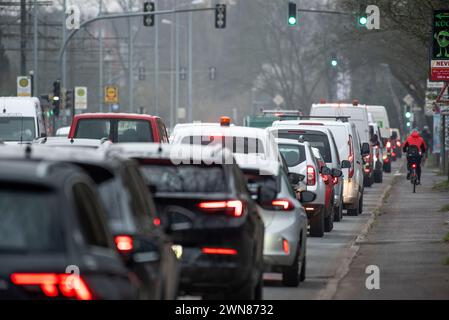 Rostock, Germania. 1 marzo 2024. I ciclisti viaggiano lungo la Bundesstrasse 105 nel centro della città di Rostock in mezzo al traffico dell'ora di punta. Venerdì, Verdi organizza uno sciopero di avvertimento sui trasporti pubblici a livello nazionale in collaborazione con Fridays for Future con il motto #Wirfahrenzusammen. Crediti: Frank Hormann/dpa-Zentralbild/dpa/Alamy Live News Foto Stock