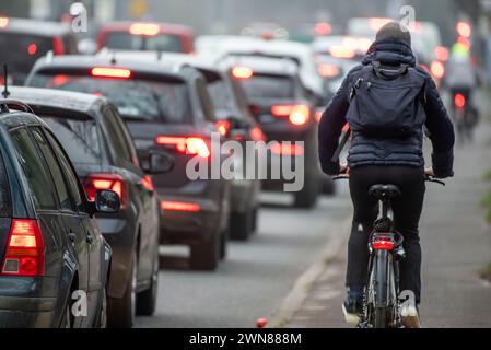 Rostock, Germania. 1 marzo 2024. I ciclisti viaggiano lungo la Bundesstrasse 105 nel centro della città di Rostock in mezzo al traffico dell'ora di punta. Venerdì, Verdi organizza uno sciopero di avvertimento sui trasporti pubblici a livello nazionale in collaborazione con Fridays for Future con il motto #Wirfahrenzusammen. Crediti: Frank Hormann/dpa-Zentralbild/dpa/Alamy Live News Foto Stock