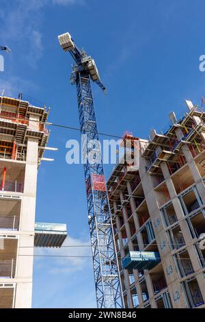 Nuovi appartamenti in costruzione lungo Ocean Drive Leith Foto Stock