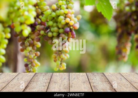 pavimento in legno con grappoli di uva da vino appesi alla vite con foglie verdi Foto Stock