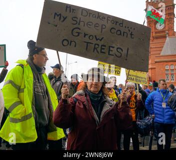 Gli agricoltori gallesi protestano al Senedd di Cardiff Foto Stock