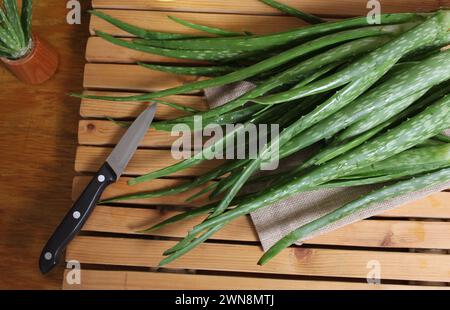 L'Aloe lascia su un asse di legno con un coltello Foto Stock