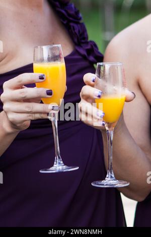 Festa nuziale con mimoas il giorno del matrimonio Foto Stock