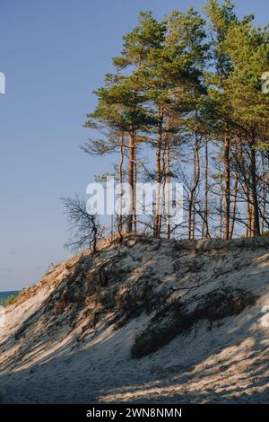 Spiaggia di dune di sabbia e erba con vista mare, Leba, Mar Baltico, Polonia Foto Stock