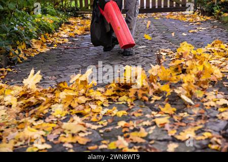 Zu Hause im Herbst mit Laubbläser das Grundstück sauber halten Foto Stock