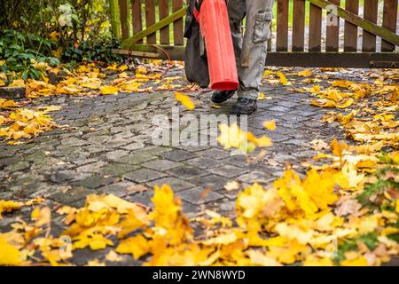 Zu Hause im Herbst mit Laubbläser das Grundstück sauber halten Foto Stock