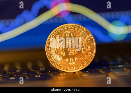 Bitcoin Münze vor einem chart *** Bitcoin Coin davanti a un grafico Deutschland, Germania GMS10867 Foto Stock