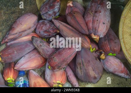 sembra vicino al cuore di una banana che è stata raccolta. il colore è rosso. Le parti giovani possono essere consumate come una varietà di piatti. ad esempio, frie Foto Stock