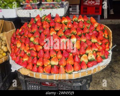 Un cestino pieno di fragole fresche Foto Stock