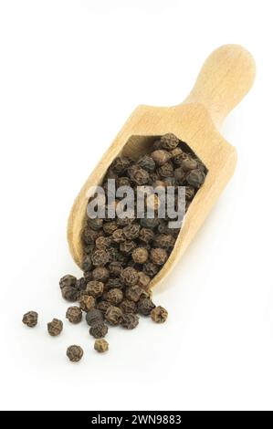 Un mucchio di pepe nero, grani di pepe in cucchiaio isolati su fondo bianco, concetto di pepe di spezie secche Foto Stock