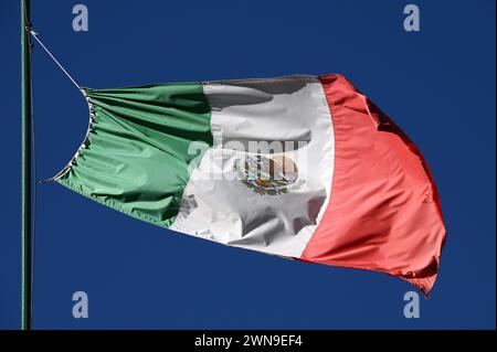 Bandiera messicana che sventola nel vento, Coyoacan, città del Messico Foto Stock