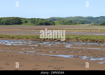 Vista della riserva naturale delle paludi di Moine Mhor, Scozia, con la bassa marea Foto Stock