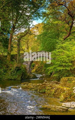 Foley's Bridge che attraversa il fiume Shimna nel Tollymore Forest Park nella contea di Down, Irlanda del Nord Foto Stock