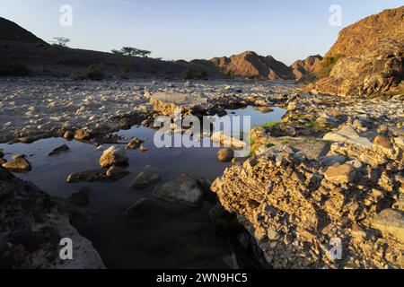 Splendida piccola oasi nel deserto con lo sfondo di enormi montagne Foto Stock