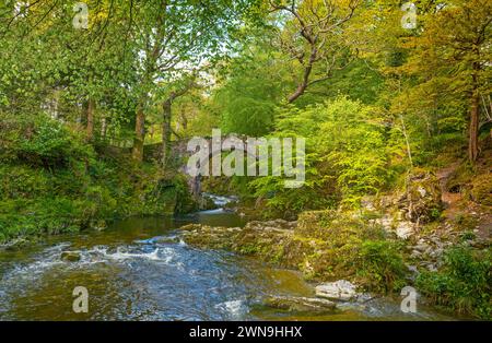 Foley's Bridge che attraversa il fiume Shimna nel Tollymore Forest Park nella contea di Down, Irlanda del Nord Foto Stock