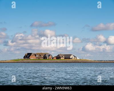 Gasthaus Hilligenley, Warft su Hallig Langeness, Frisia settentrionale, Schleswig-Holstein, Germania Foto Stock