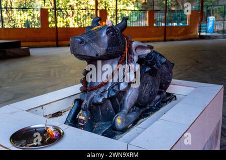 14 feb.th2024 Uttarakhand, India, antiche sculture artigianali di pietra Nandi, simbolico compagno di viaggio sul Signore Shiva, il Tempio Ekeshwar Mahadev, Pauri Garh Foto Stock