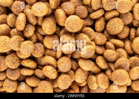 Cibo per cani, macro, vista dall'alto. Foto Stock