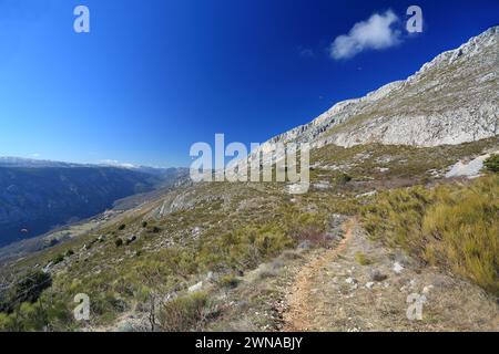 Sentieri di montagna sul monte Cheiron, parco regionale delle Préalpes d'Azur, Alpes Maritmes, Francia Foto Stock