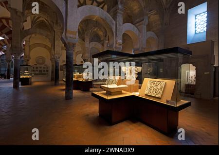 Moschea/Cattedrale di Cordova una mostra archeologica nella moschea-cattedrale di Cordova in Andalusia nel sud della Spagna all'interno della vetrata Foto Stock