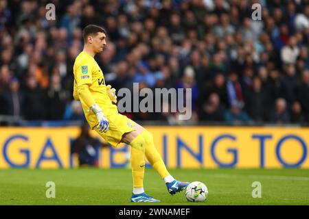 Djordje Petrovic di Chelsea - Chelsea contro Liverpool, Carabao Cup Final, Wembley Stadium, Londra, Regno Unito - 25 febbraio 2024 solo uso editoriale - si applicano restrizioni DataCo Foto Stock