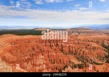 Un canyon con scogliere ripide e alberi sempreverdi Foto Stock