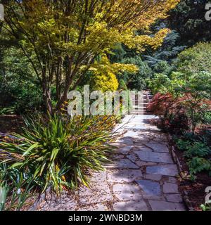 Grazioso percorso in pietra naturale tra alberi e arbusti nei Rosemoor Gardens RHS negli anni '1990, Great Torrington, Devon, Inghilterra, Regno Unito Foto Stock