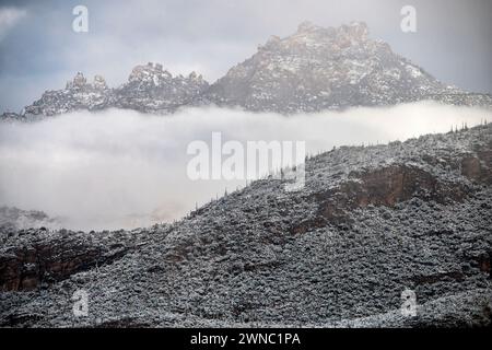 Neve nel deserto di Sonora, Arizona Foto Stock
