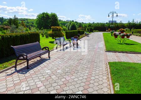 Panchina nel parco su uno sfondo di erba verde e alberi Foto Stock